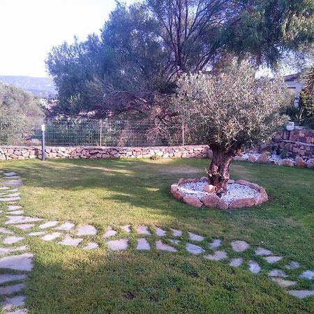 سان تيودورو Villetta Cala D'Ambra المظهر الخارجي الصورة