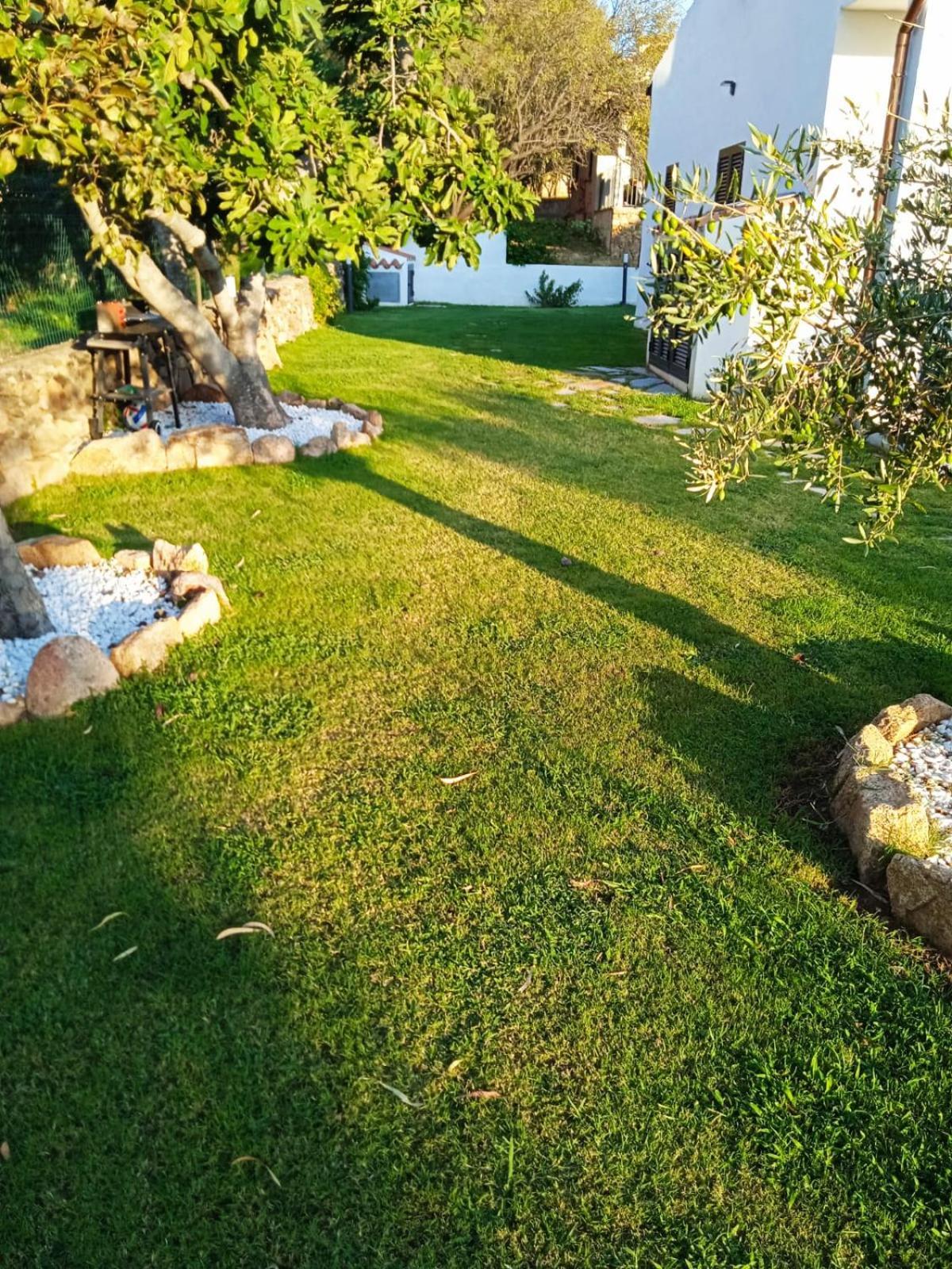 سان تيودورو Villetta Cala D'Ambra المظهر الخارجي الصورة